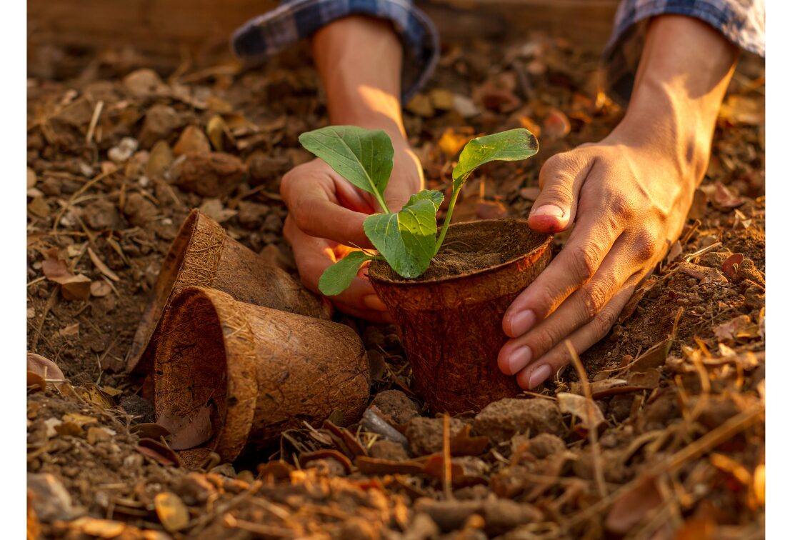 Gardening at your home