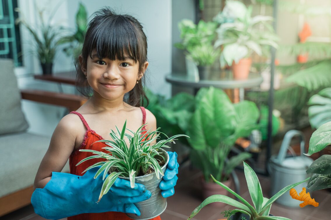 Grow herbs in your backyard and heal yourself