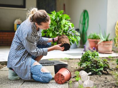 Preparing soil to sow the seeds